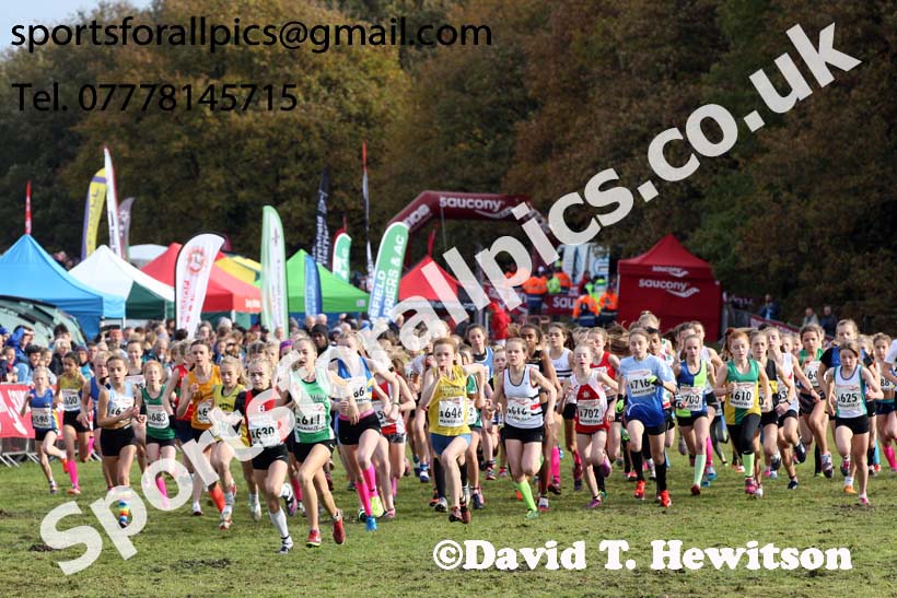 Girls under-13s National Cross Country Relay, Berry Hill Park, Mansfield. Photo:  David T. Hewitson/Sports for All Pics